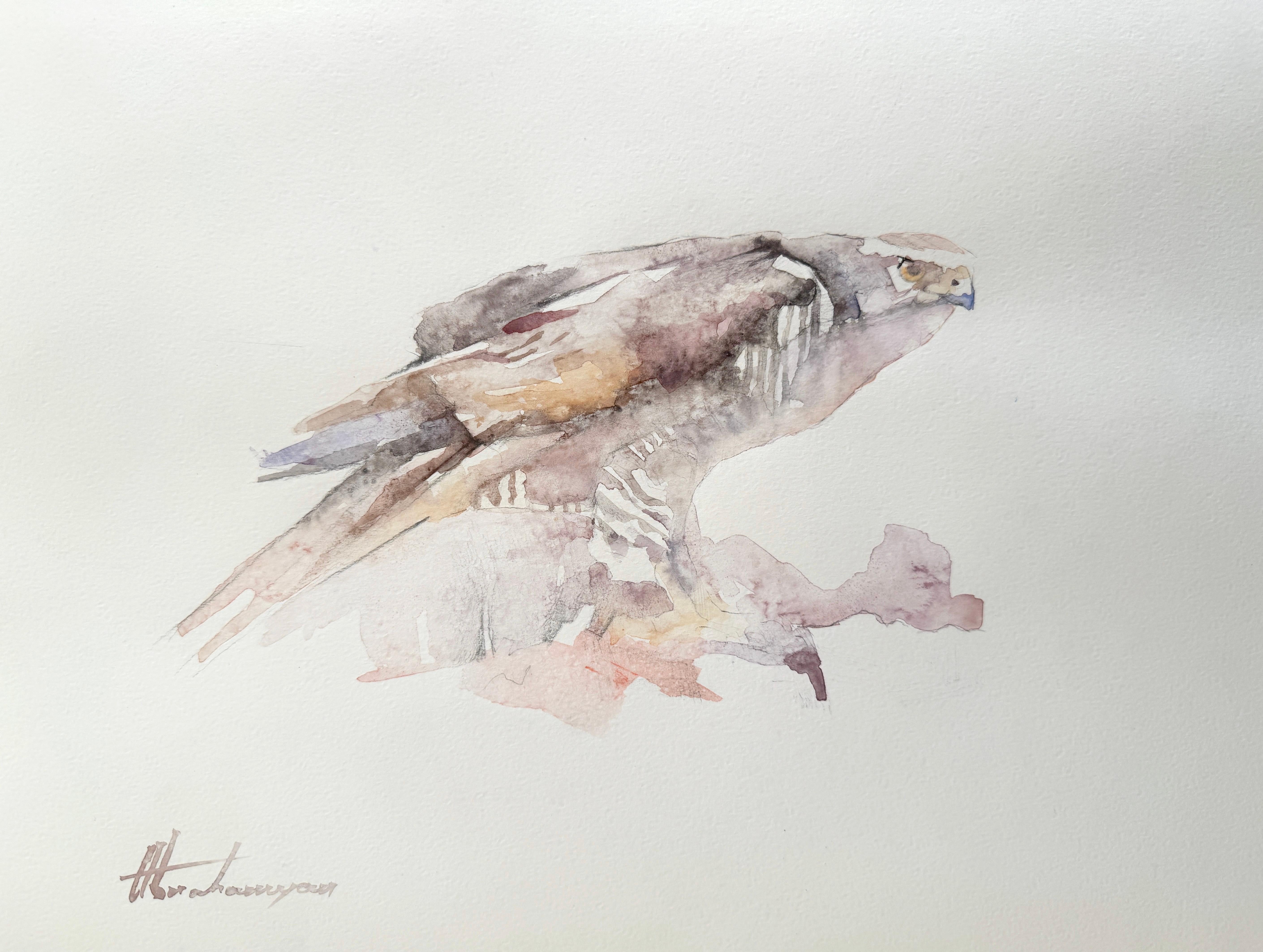 Artyom Abrahamyan Animal Art - Sparrowhawk, Watercolor Handmade Painting, One of a Kind