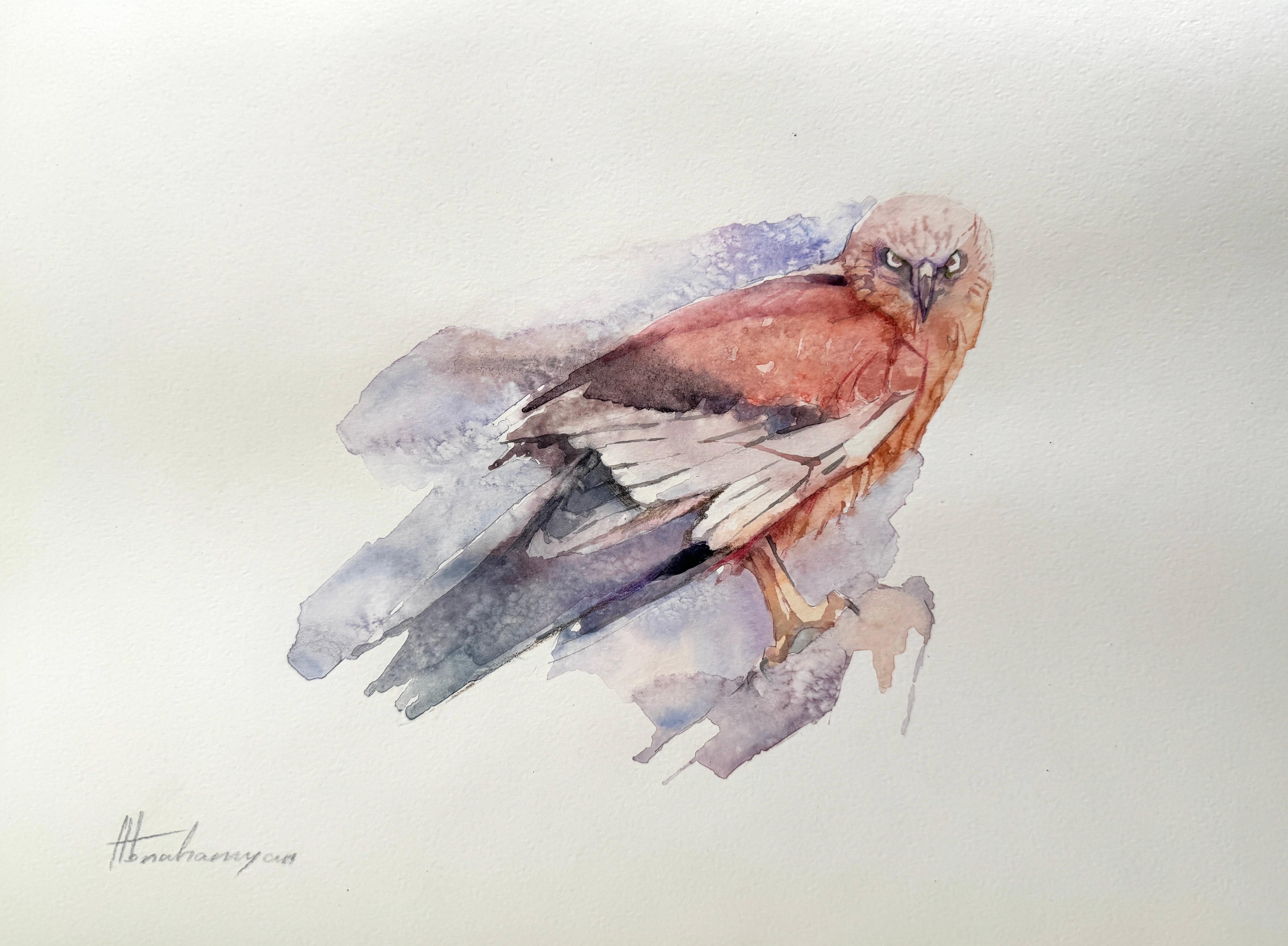 Artyom Abrahamyan Animal Art - Falcon, Watercolor Handmade Painting, One of a Kind