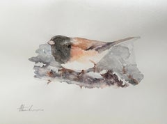 Junco, Bird, Watercolor Handmade Painting, One of a Kind
