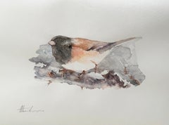 Junco, Vogel, Aquarell, handgefertigtes Gemälde, Unikat