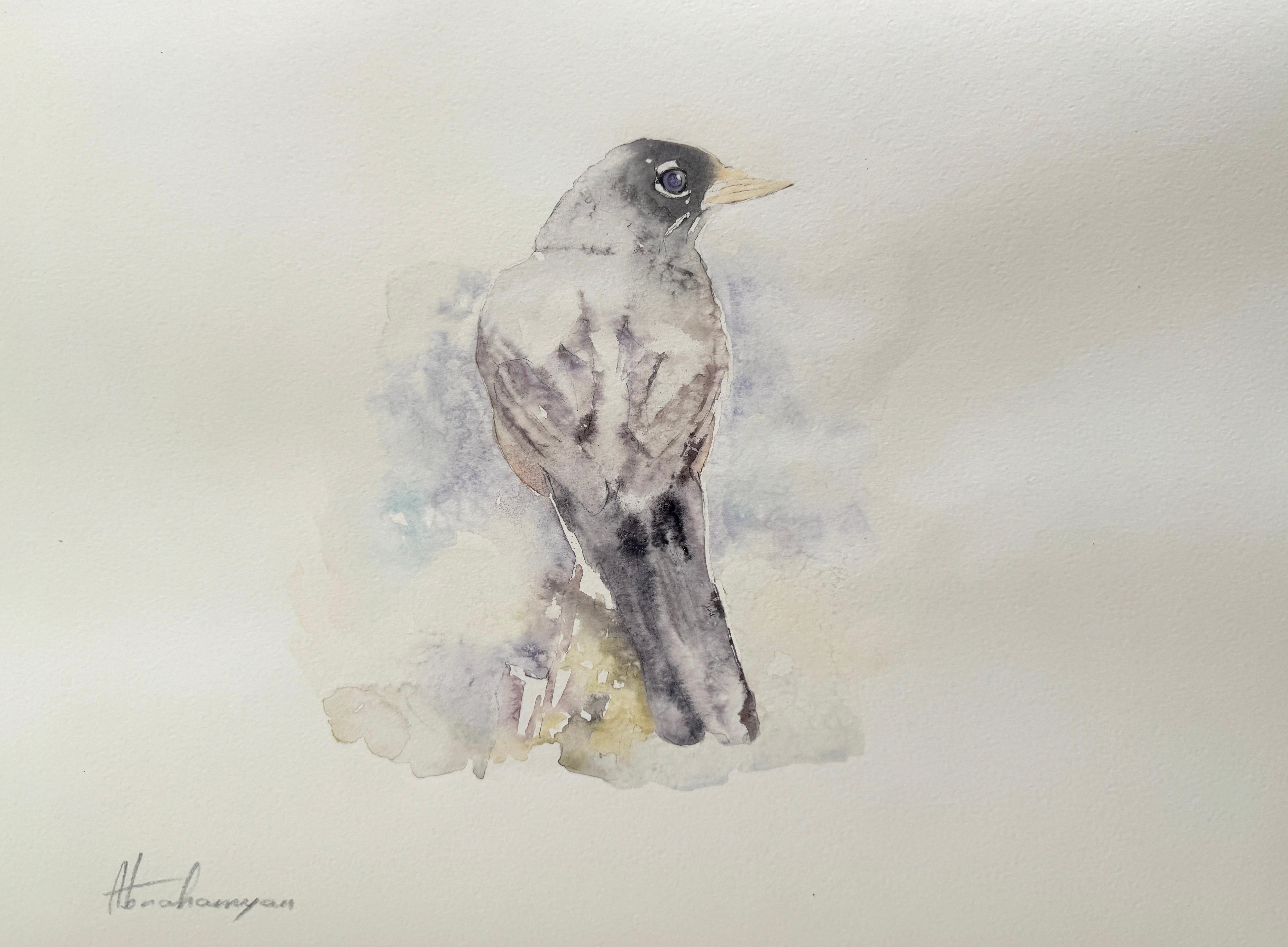 Artyom Abrahamyan Animal Art - Junco, Watercolor Handmade Painting, One of a Kind