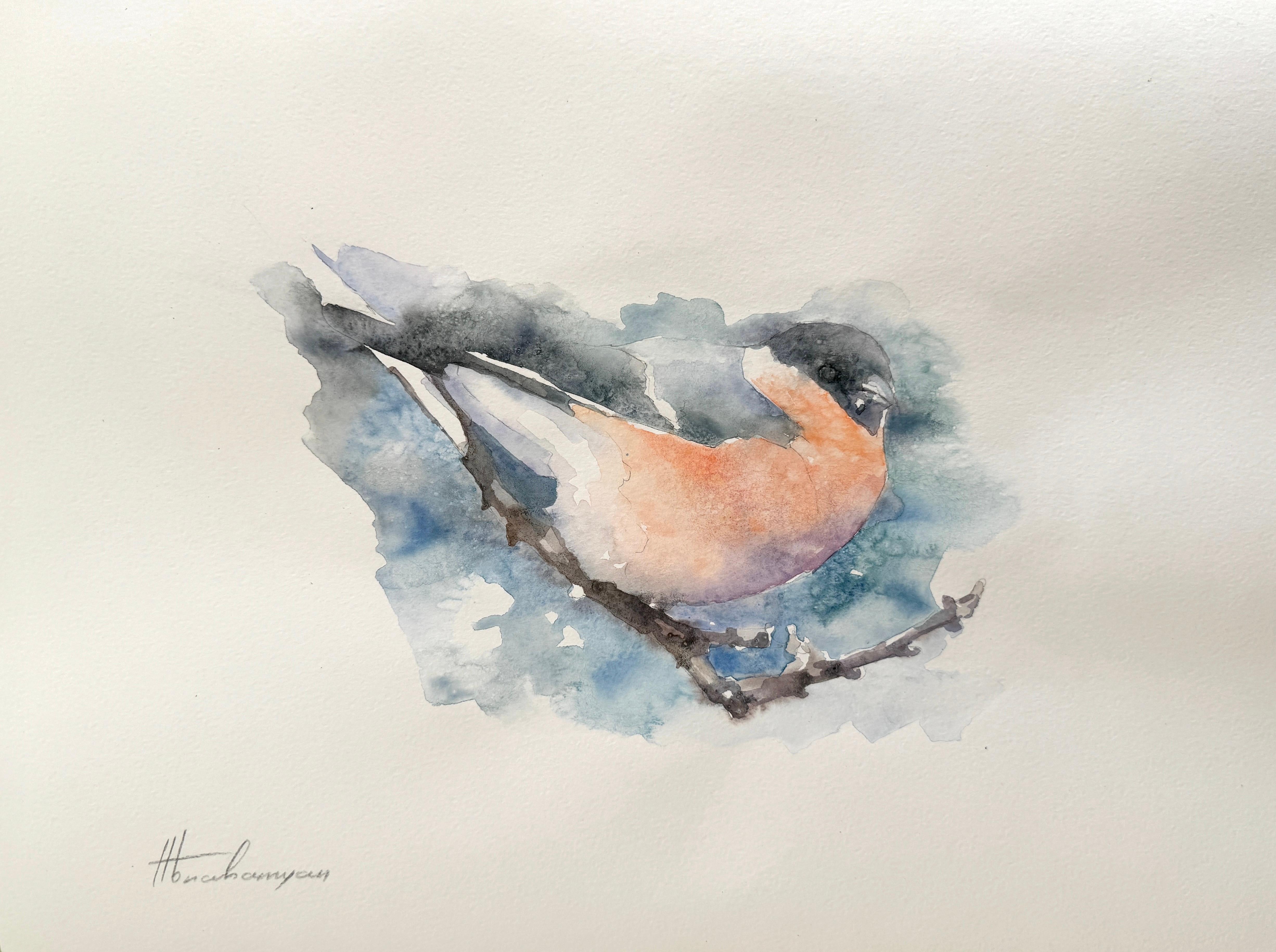 Bullfinch, Bird, Watercolor Handmade Painting, One of a Kind