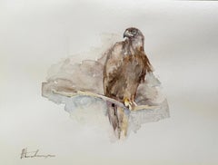 Eagle, Bird, Watercolor Handmade Painting, One of a Kind