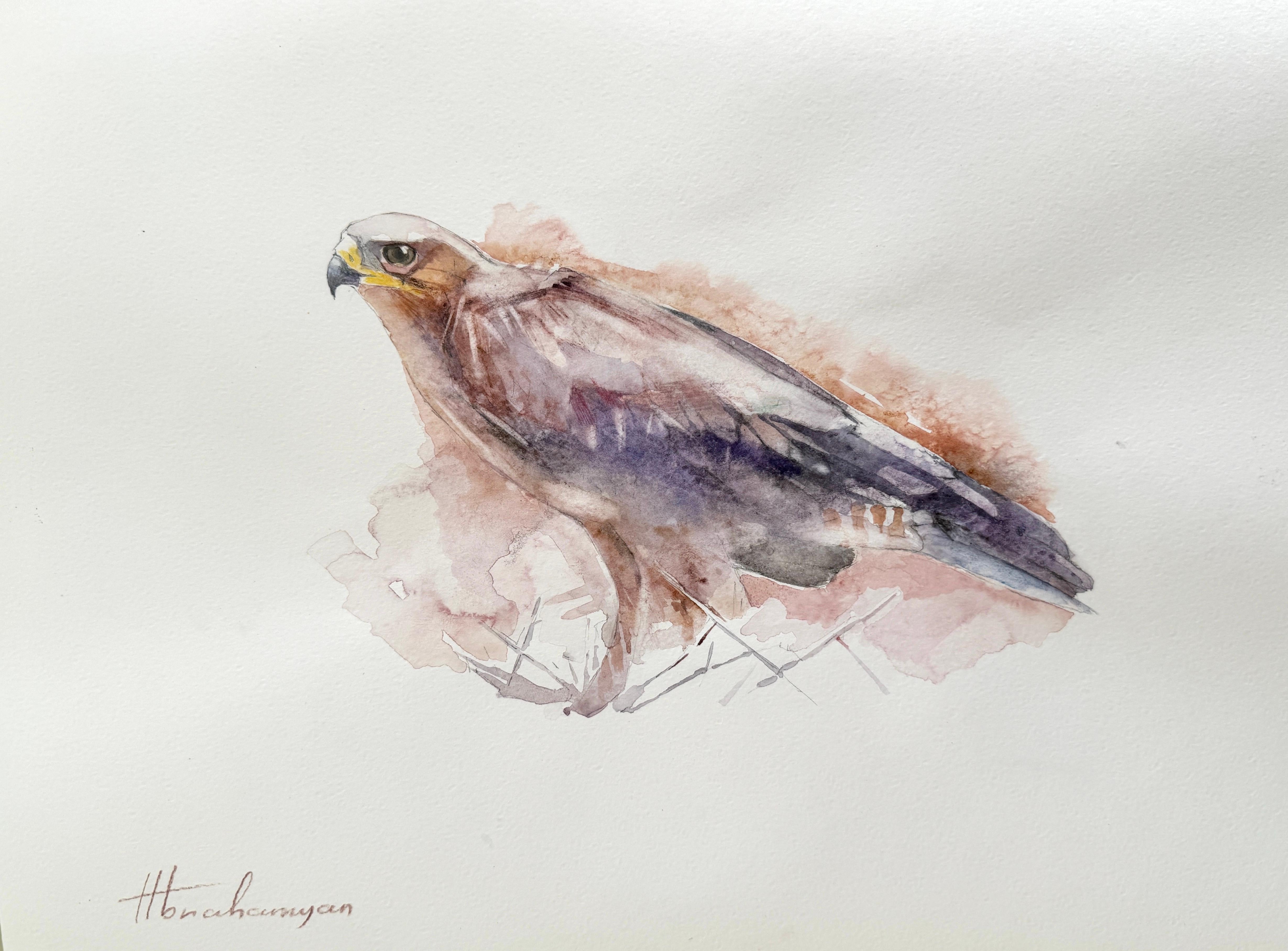 Artyom Abrahamyan Animal Art - Falcon, Bird, Watercolor Handmade Painting, One of a Kind