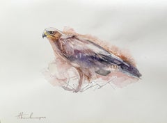 Falcon, oiseau, aquarelle, peinture faite à la main, unique en son genre