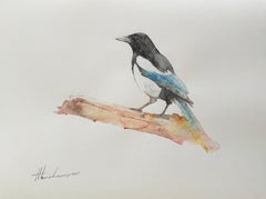 Magpie, oiseau, aquarelle, peinture faite à la main, exemplaire unique