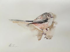 Scarlet Robin, Bird, Watercolor Handmade Painting, One of a Kind