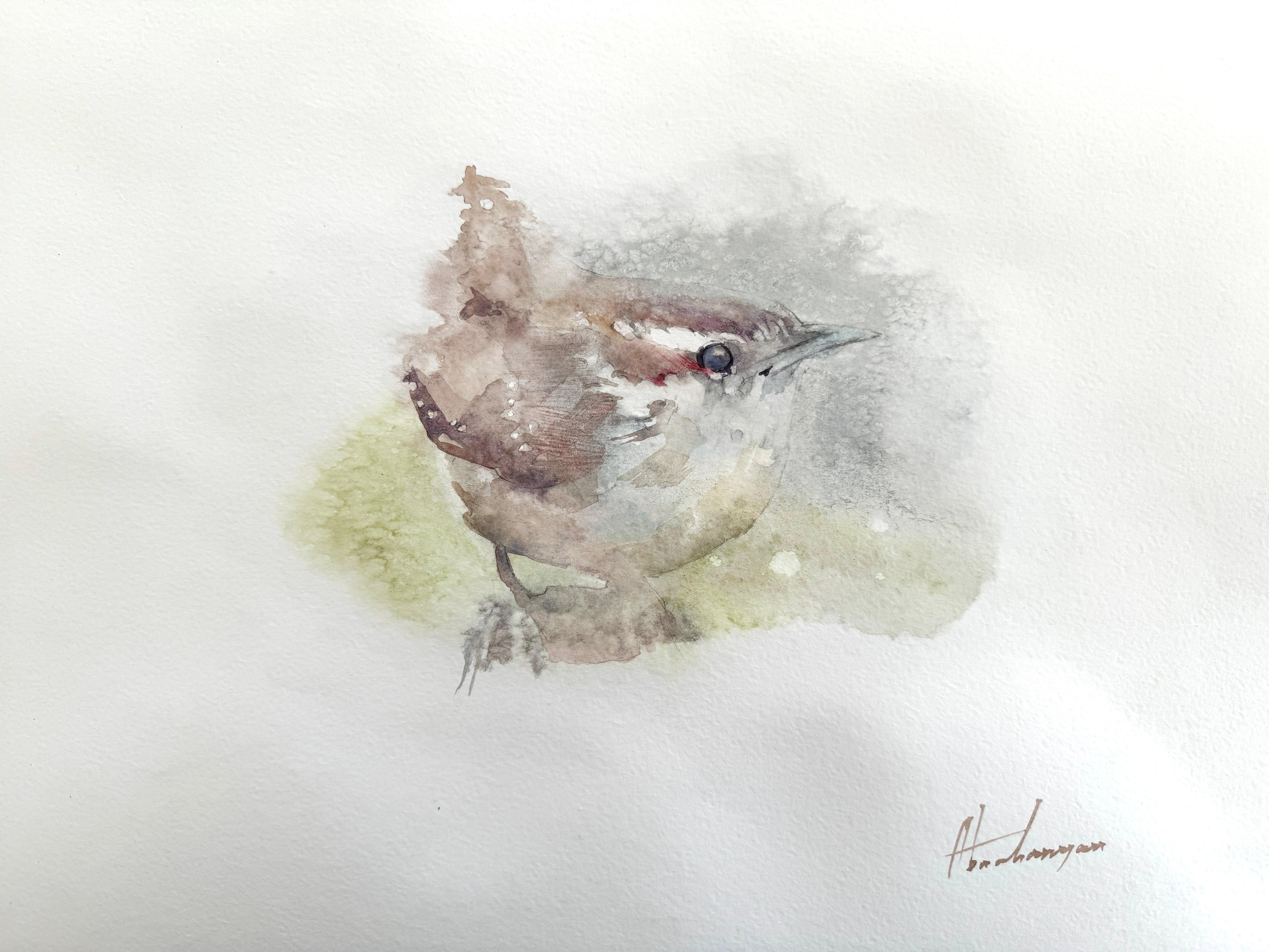 Artyom Abrahamyan Animal Art - Wren, Bird, Watercolor Handmade Painting, One of a Kind