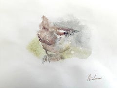 Troglodyte, oiseau, aquarelle, peinture faite à la main, unique en son genre