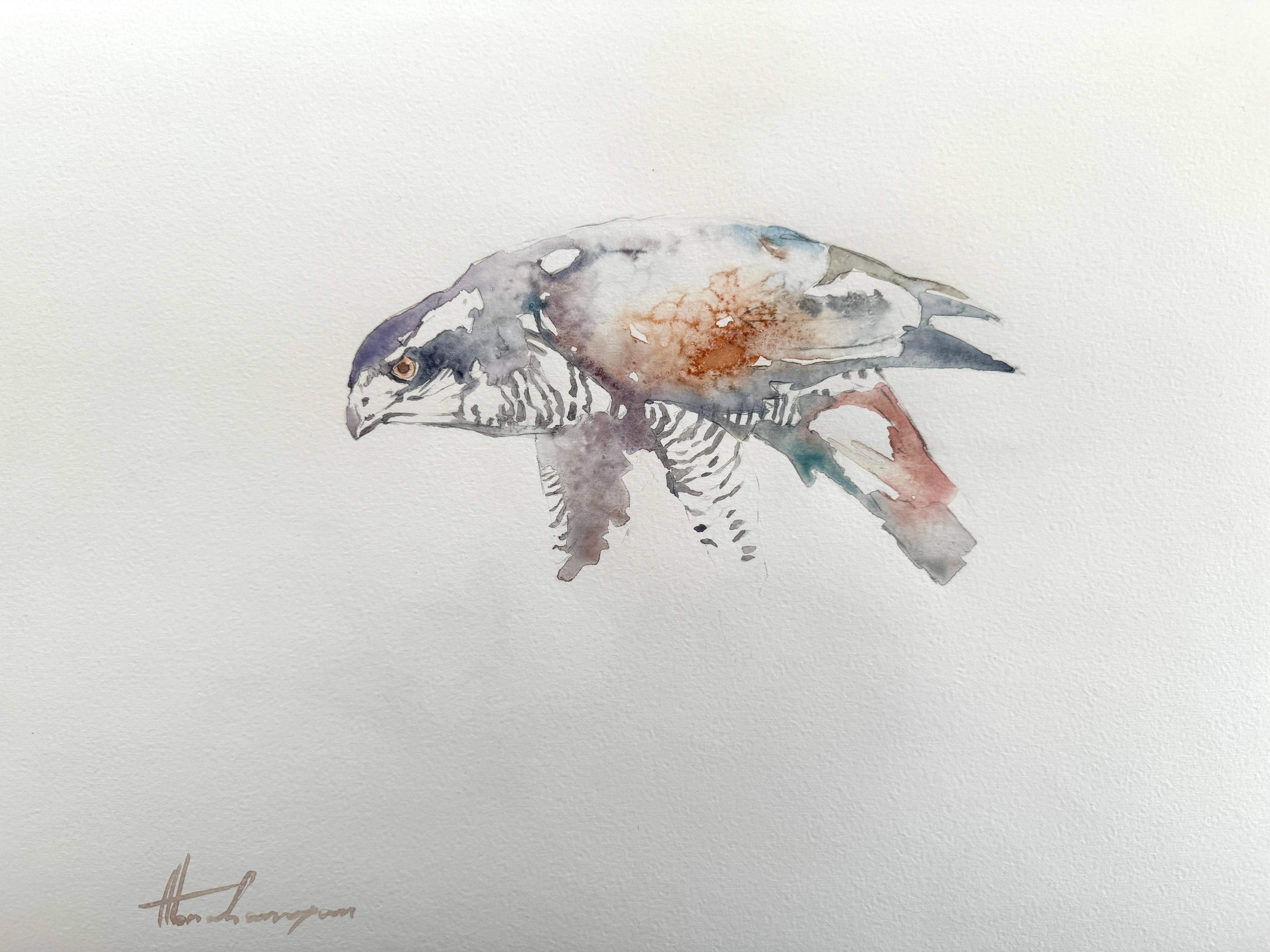 Artyom Abrahamyan Animal Art - Sparrow hawk, Bird, Watercolor Handmade Painting, One of a Kind
