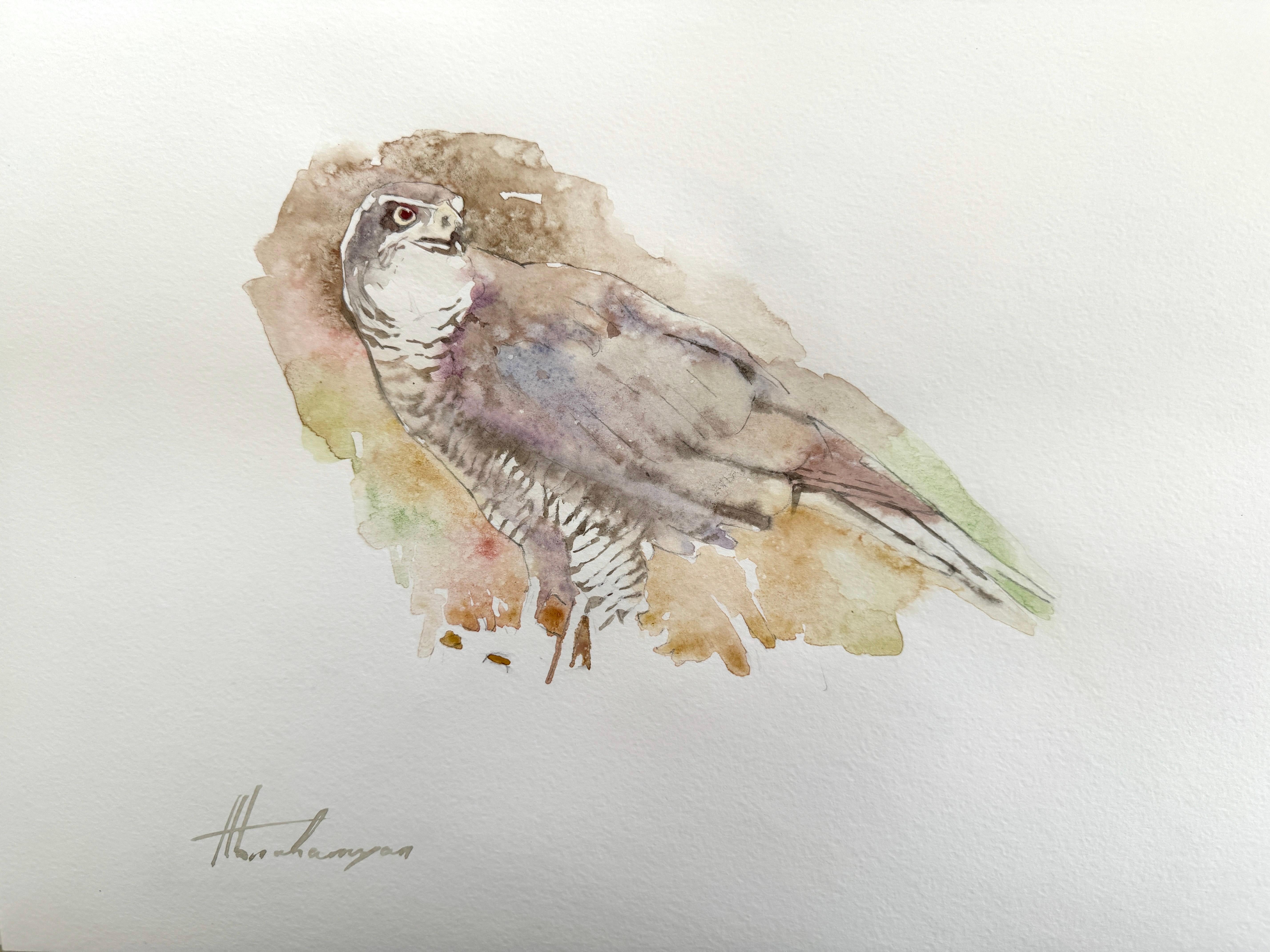 Artyom Abrahamyan Animal Art - Sparrow Hawk, Bird, Watercolor Handmade Painting, One of a Kind