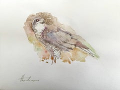 Épervier, oiseau, aquarelle, peinture faite à la main, unique en son genre