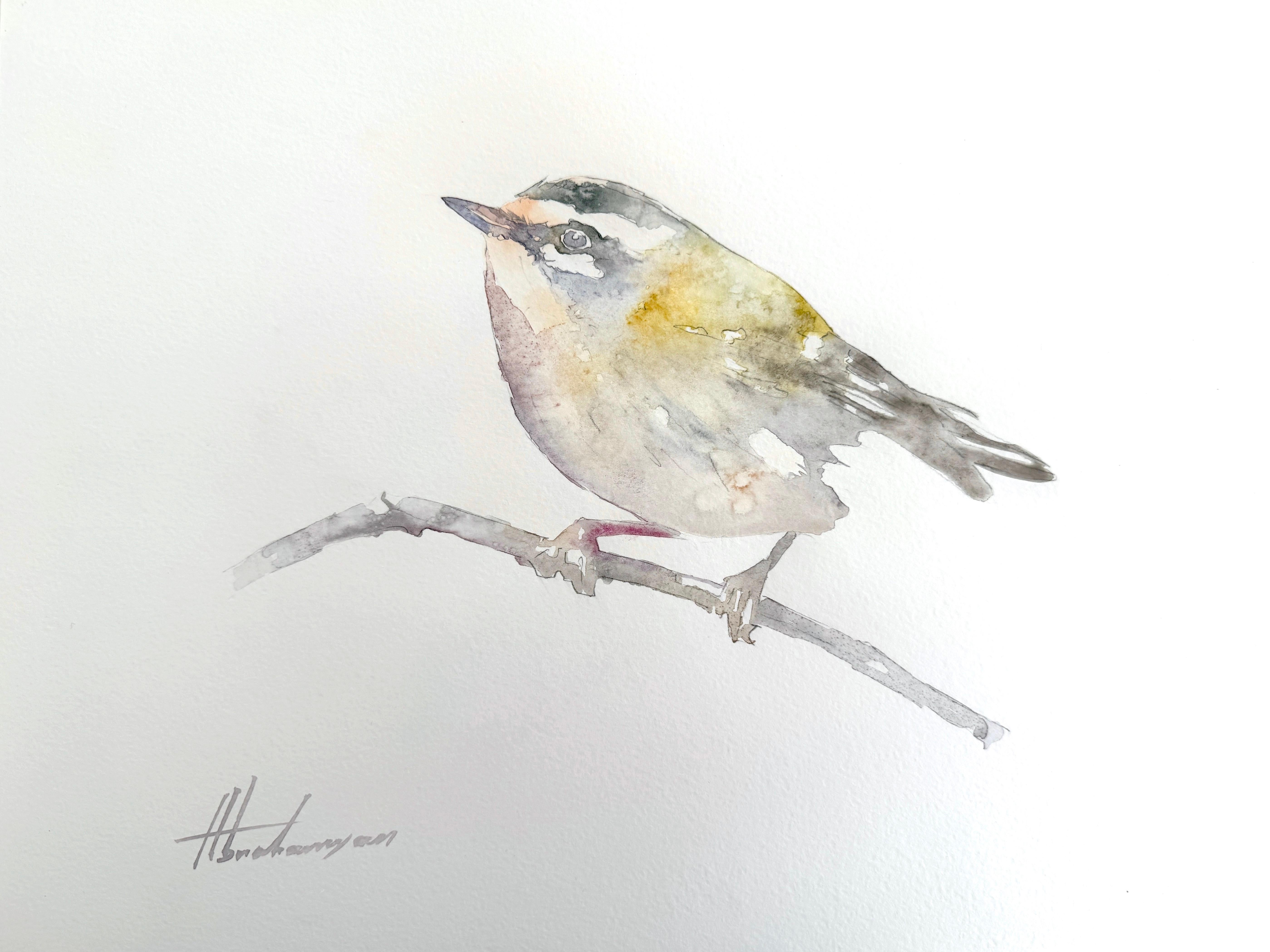 Artyom Abrahamyan Animal Art - Warbler, Bird, Watercolor Handmade Painting, One of a Kind