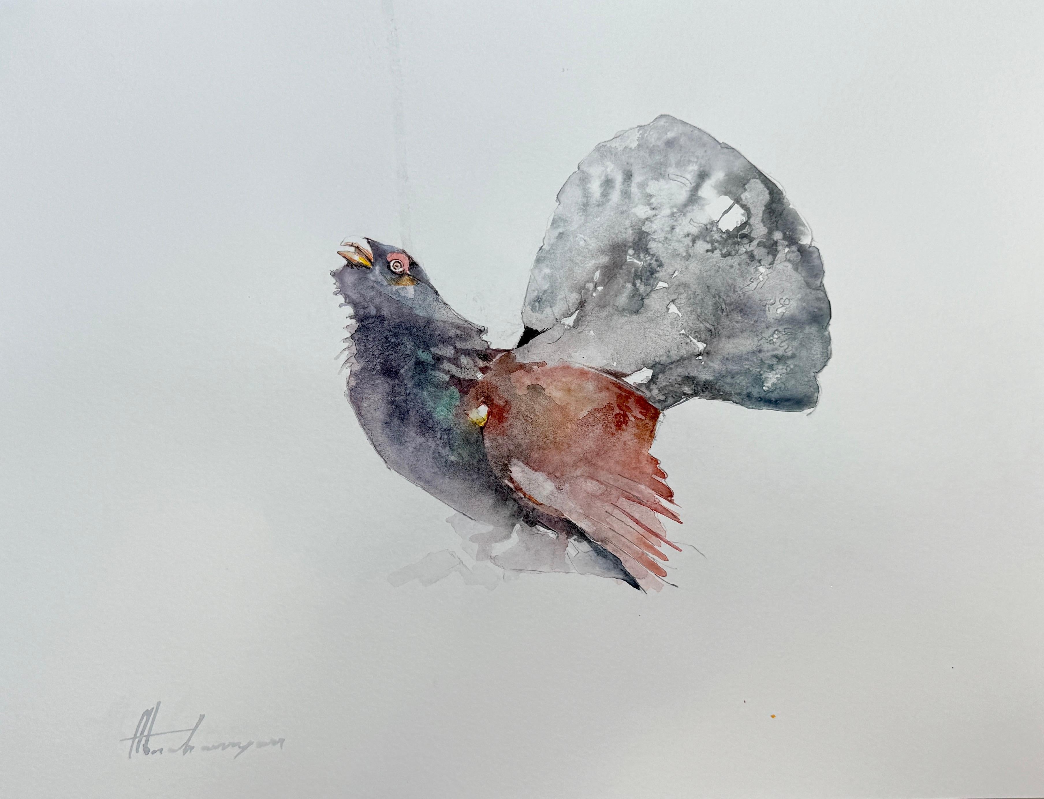 Urogallo, Pájaro, Acuarela sobre papel, Pintura hecha a mano, Único en su especie