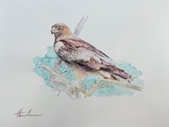 Antique Falcon, Bird, Watercolor on Paper, Handmade Painting, One of a Kind