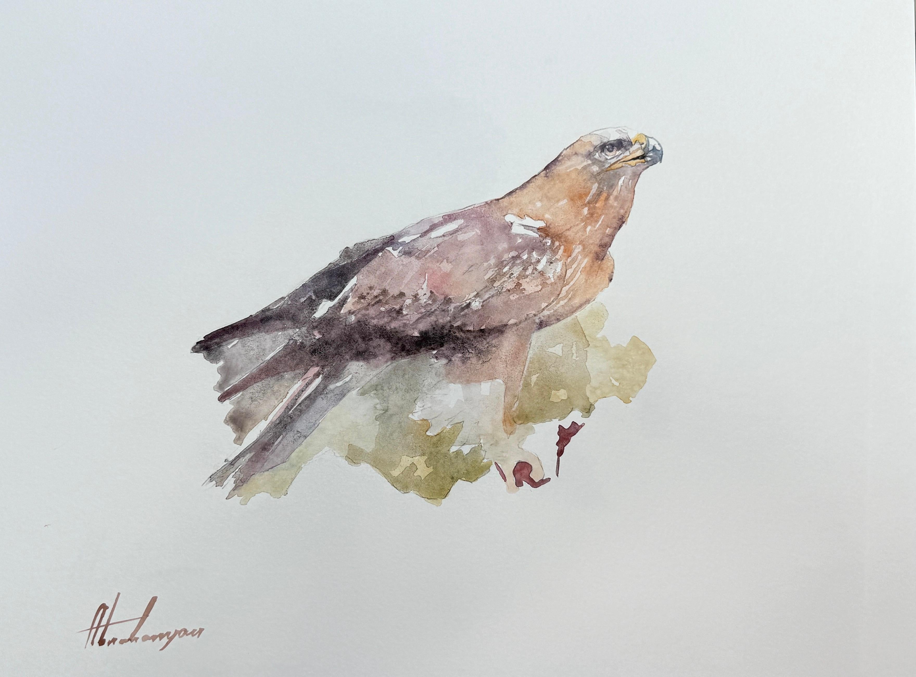 Artyom Abrahamyan Animal Art - Falcon, Bird, Watercolor on Paper, Handmade Painting, One of a Kind