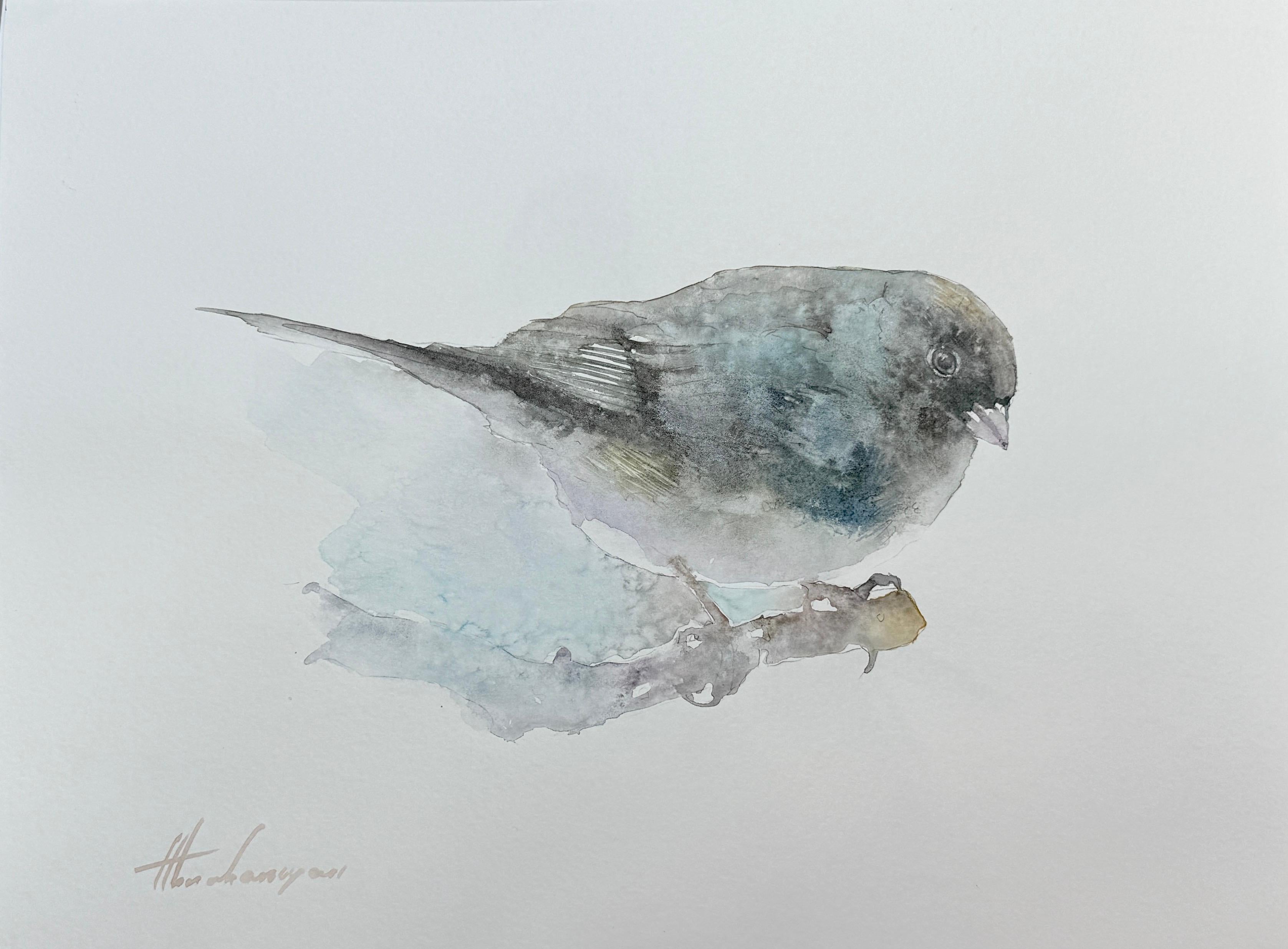 Junco, Uccello, Acquerello su carta, Pittura fatta a mano, Pezzo unico
