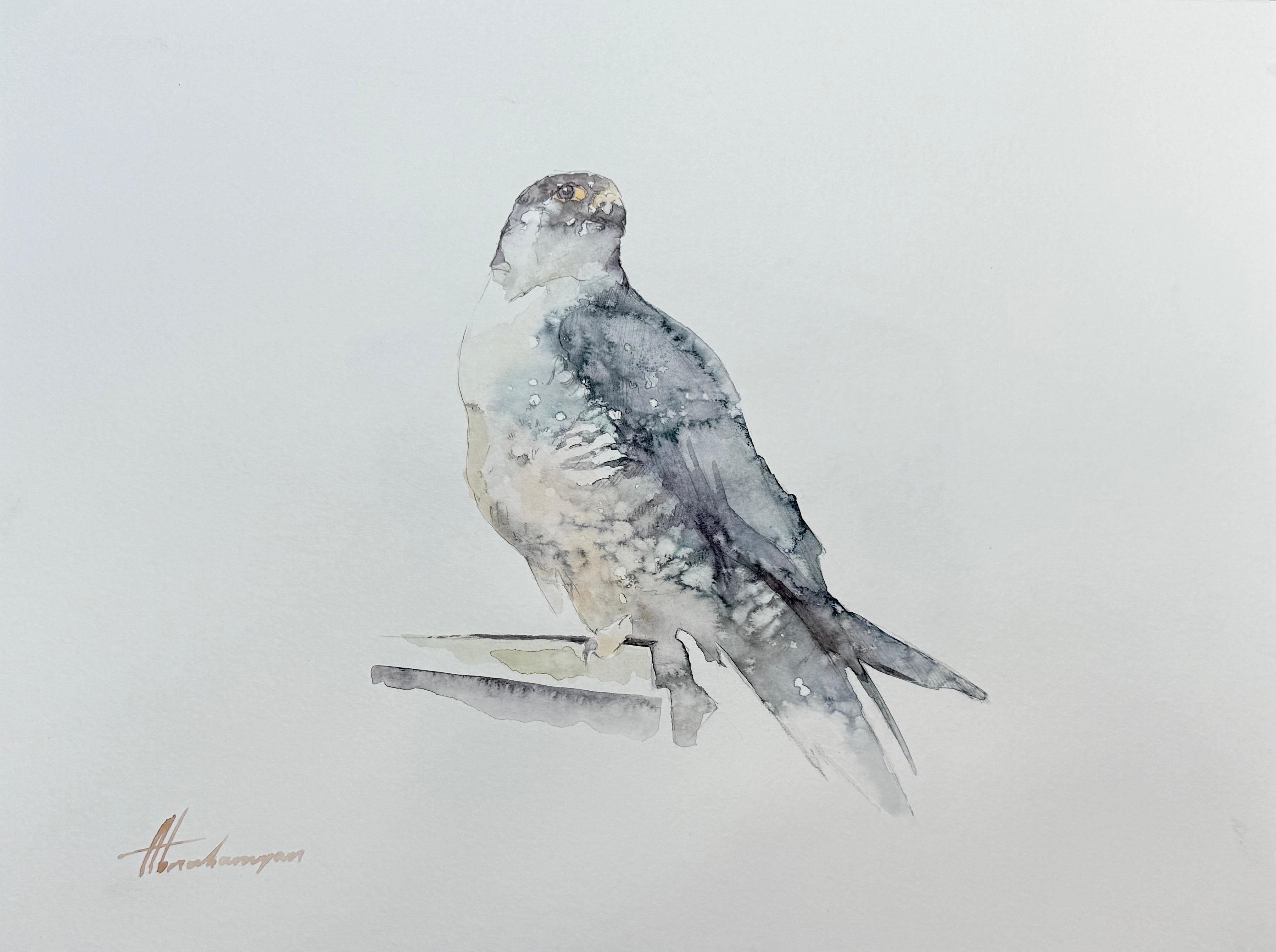 Artyom Abrahamyan Animal Art - Falcon, Bird, Watercolor on Paper, Handmade Painting, One of a Kind