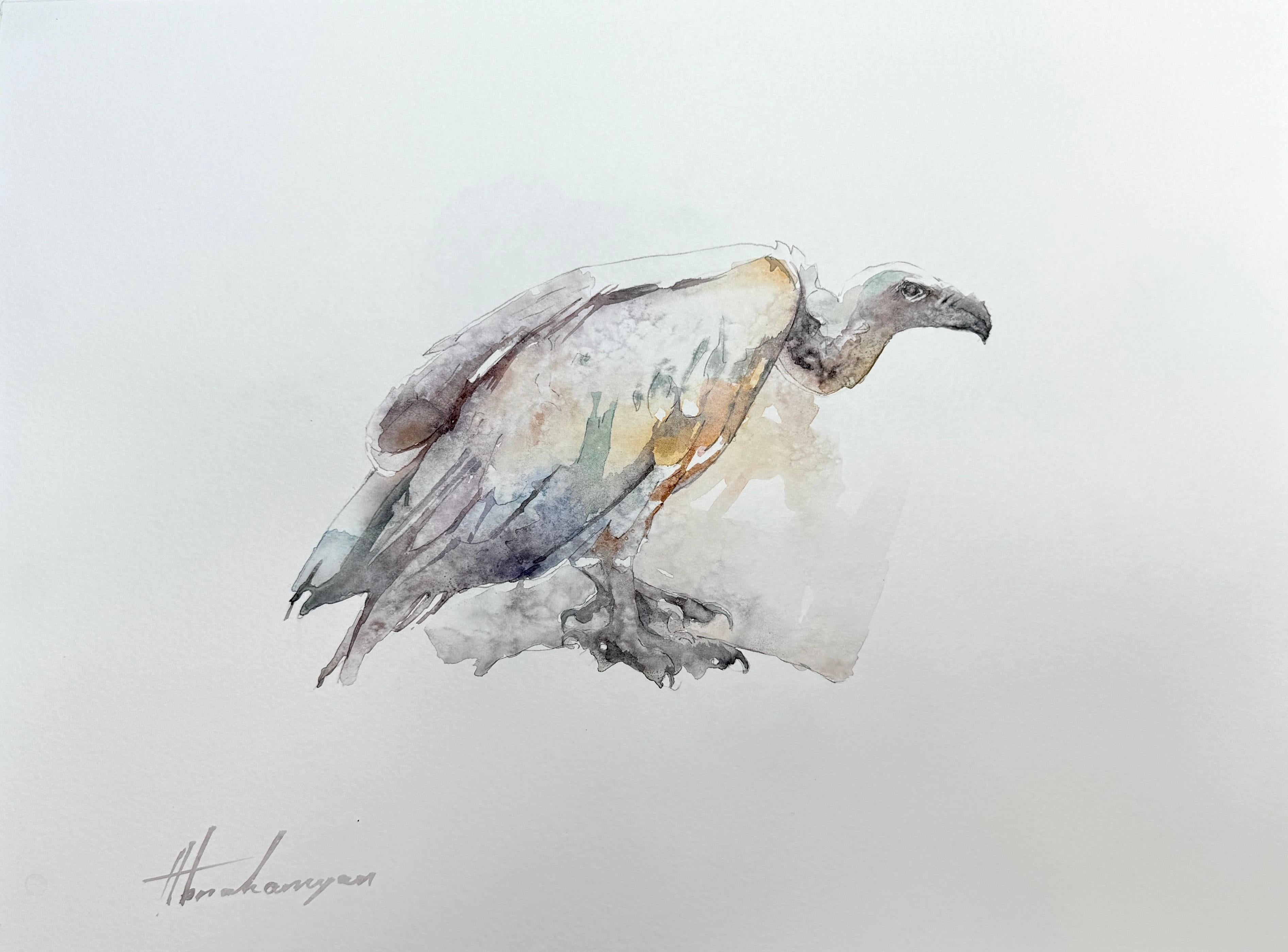 Artyom Abrahamyan Animal Art - Vulture, Bird, Watercolor on Paper, Handmade Painting, One of a Kind