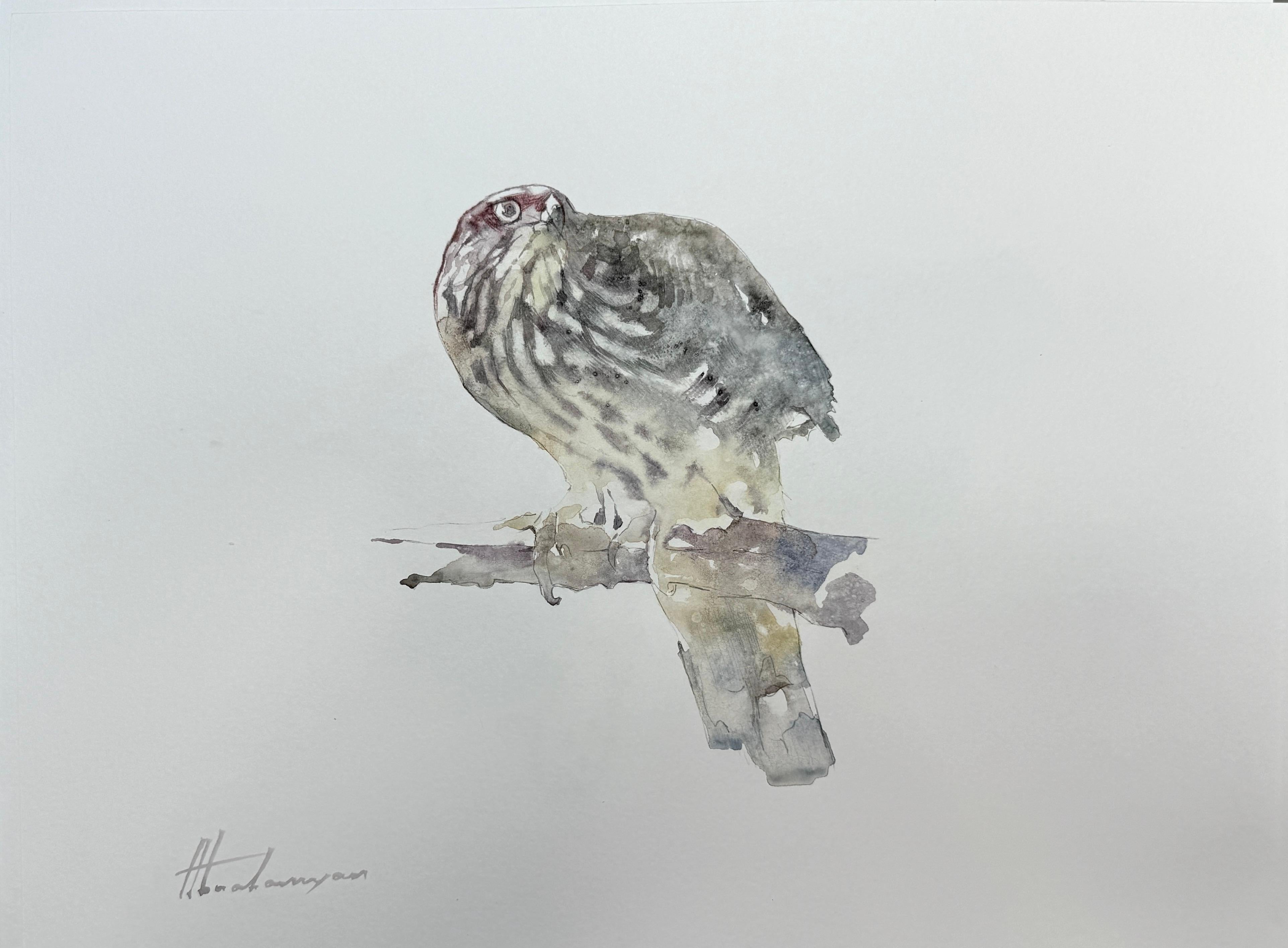 Artyom Abrahamyan Animal Art – Hawk, Vogel, Aquarell auf Papier, handgefertigtes Gemälde, Unikat
