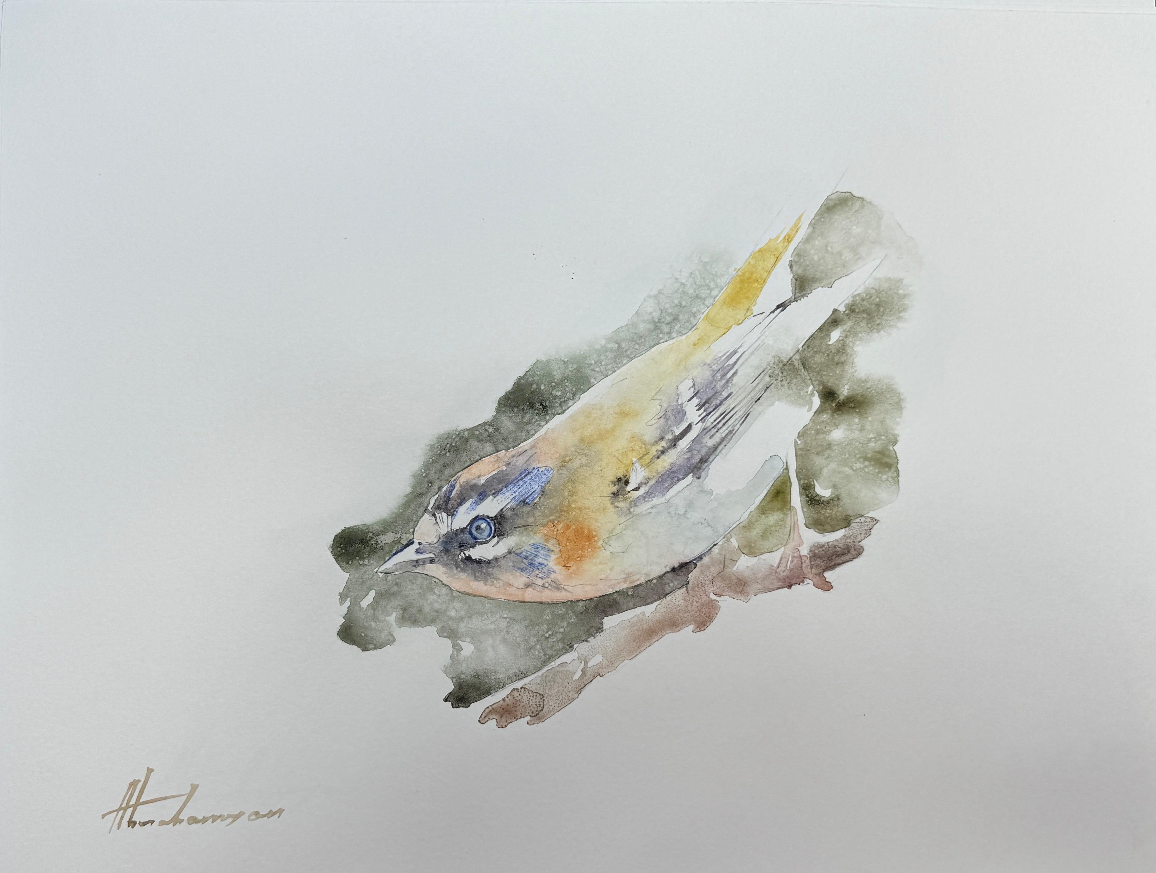 Artyom Abrahamyan Animal Art - Warbler, Bird, Watercolor on Paper, Handmade Painting, One of a Kind