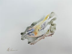 Warbler, Vogel, Aquarell auf Papier, handgefertigtes Gemälde, Unikat