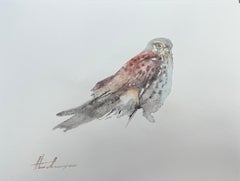 Kestrel, Vogel, Aquarell auf Papier, handgefertigtes Gemälde, Unikat