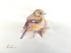 Daurian Redstart, Bird, Watercolor on Paper, Handmade Painting, One of a Kind