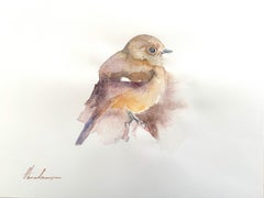 Daurian Redstart, Bird, Watercolor on Paper, Handmade Painting, One of a Kind