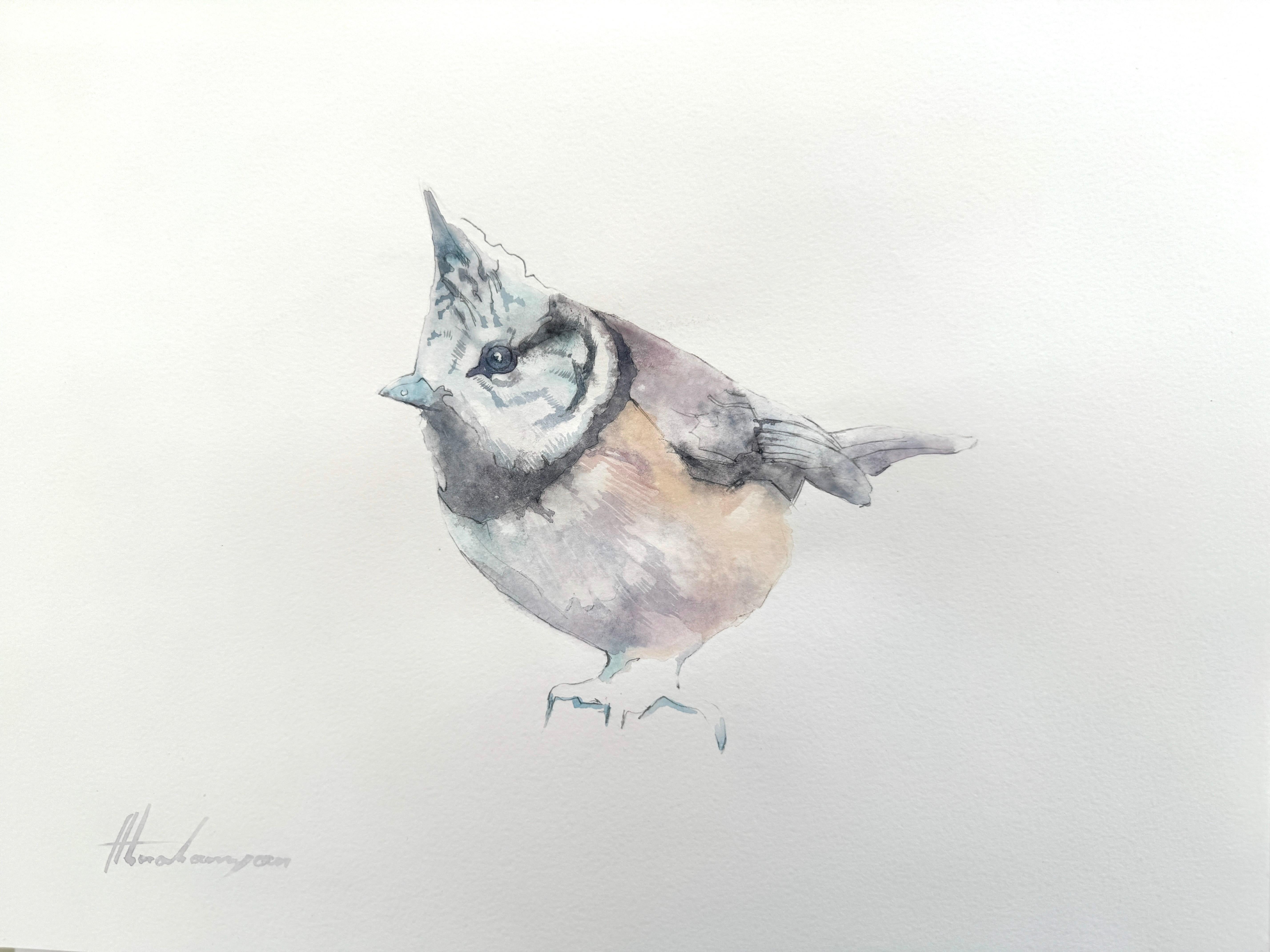Artyom Abrahamyan Animal Art - Tufted Titmouse, Bird, Watercolor on Paper, Handmade Painting, One of a Kind