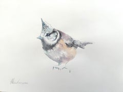 Titmouse touffue, oiseau, aquarelle sur papier, peinture faite à la main, unique en son genre