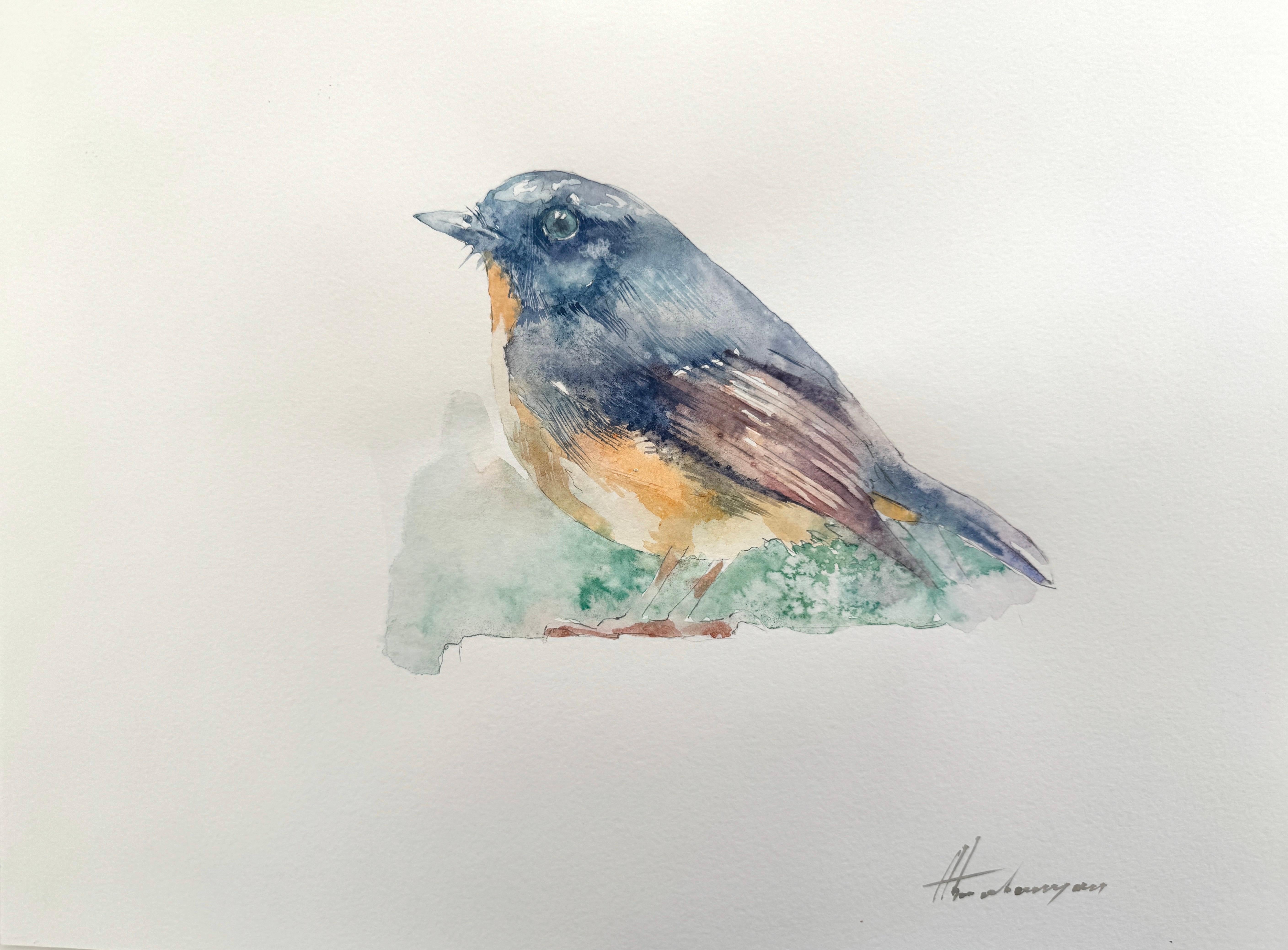 Oiseau à queue bleue, aquarelle sur papier, peinture faite à la main, unique en son genre