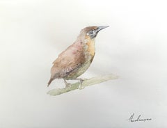 Oiseau exotique, aquarelle sur papier, peinture faite à la main, exemplaire unique