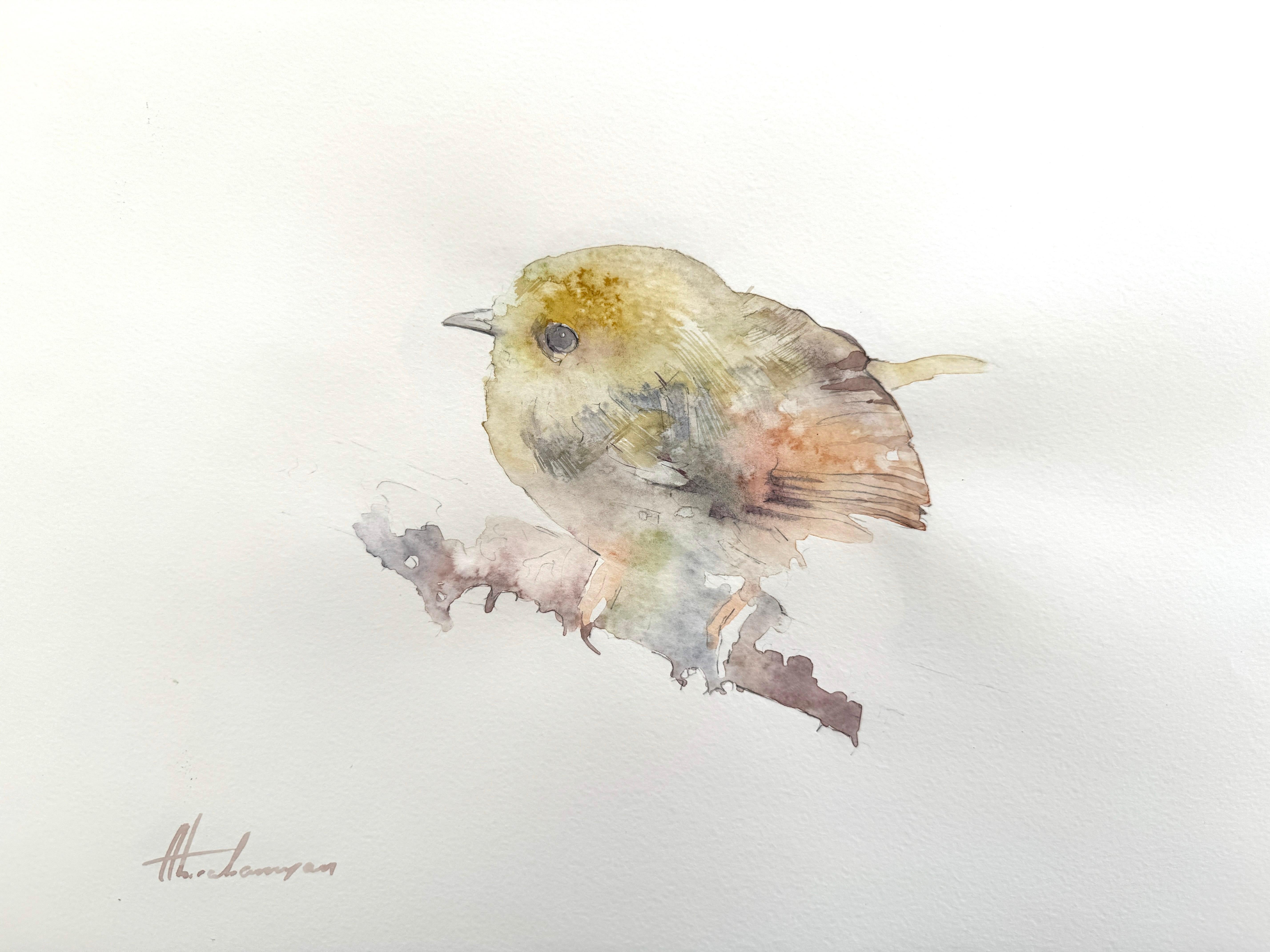 Artyom Abrahamyan Animal Art - Pygmy Tyrant, watercolor on Paper, Handmade Painting, One of a Kind