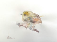 Pygmy Tyrant, watercolor on Paper, Handmade Painting, One of a Kind