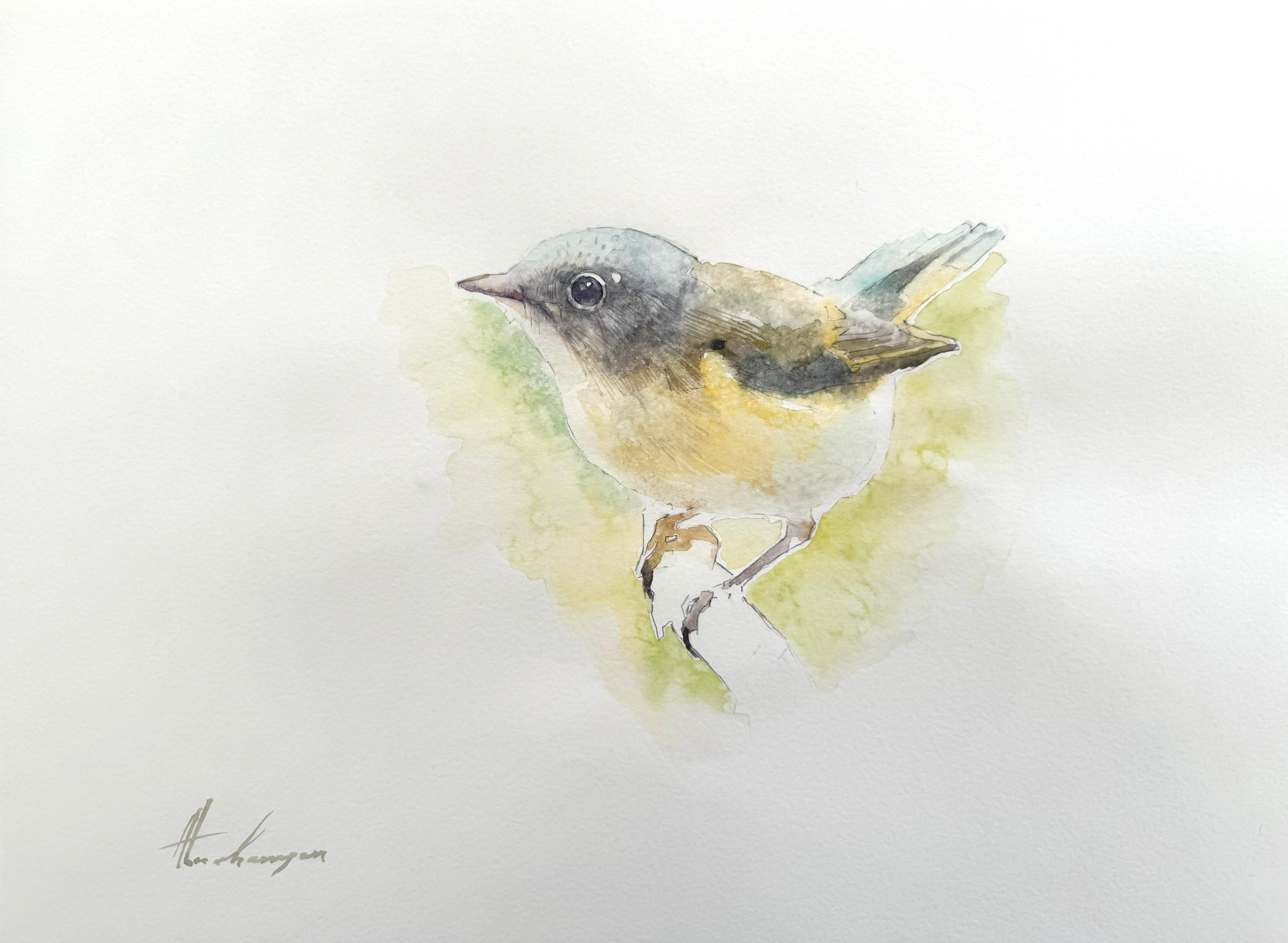 Artyom Abrahamyan Animal Art - American Redstart, Bird, Watercolor on Paper, Handmade Painting, One of a Kind