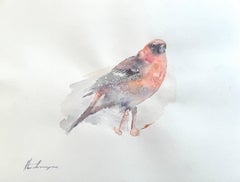 Cardinal Northern, oiseau, aquarelle sur papier, peinture faite à la main, unique en son genre