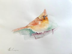 Kardinal, Vogel, Aquarell auf Papier, handgefertigtes Gemälde, einzigartig