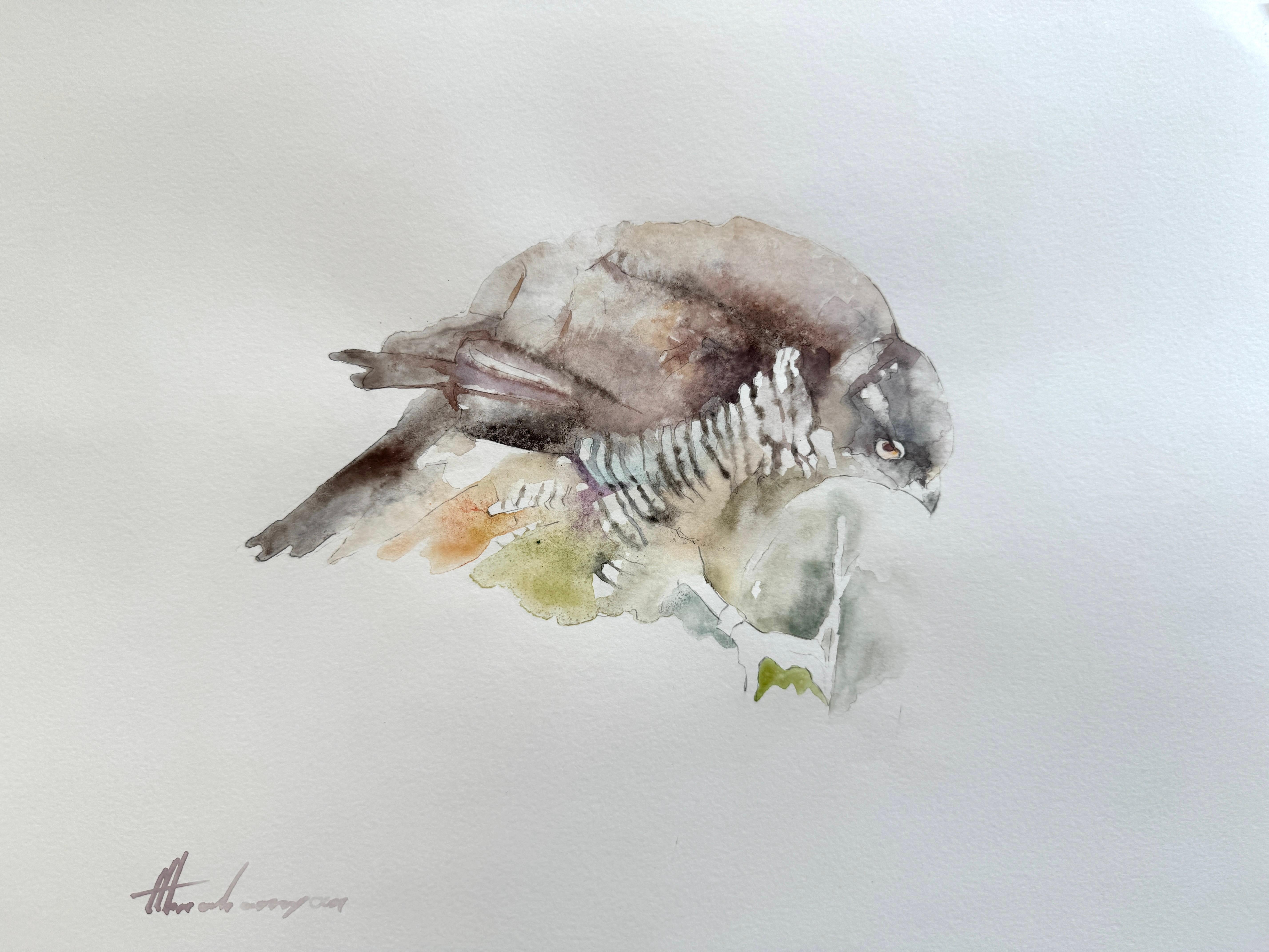 Spargelfledermaus, Vogel, Aquarell auf Papier, handgefertigtes Gemälde, Unikat