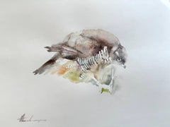 Sparrow hawk, Bird, Watercolor on Paper, Handmade Painting, One of a Kind