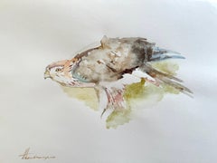 Hawk, Bird, Watercolor on Paper, Handmade Painting, One of a Kind