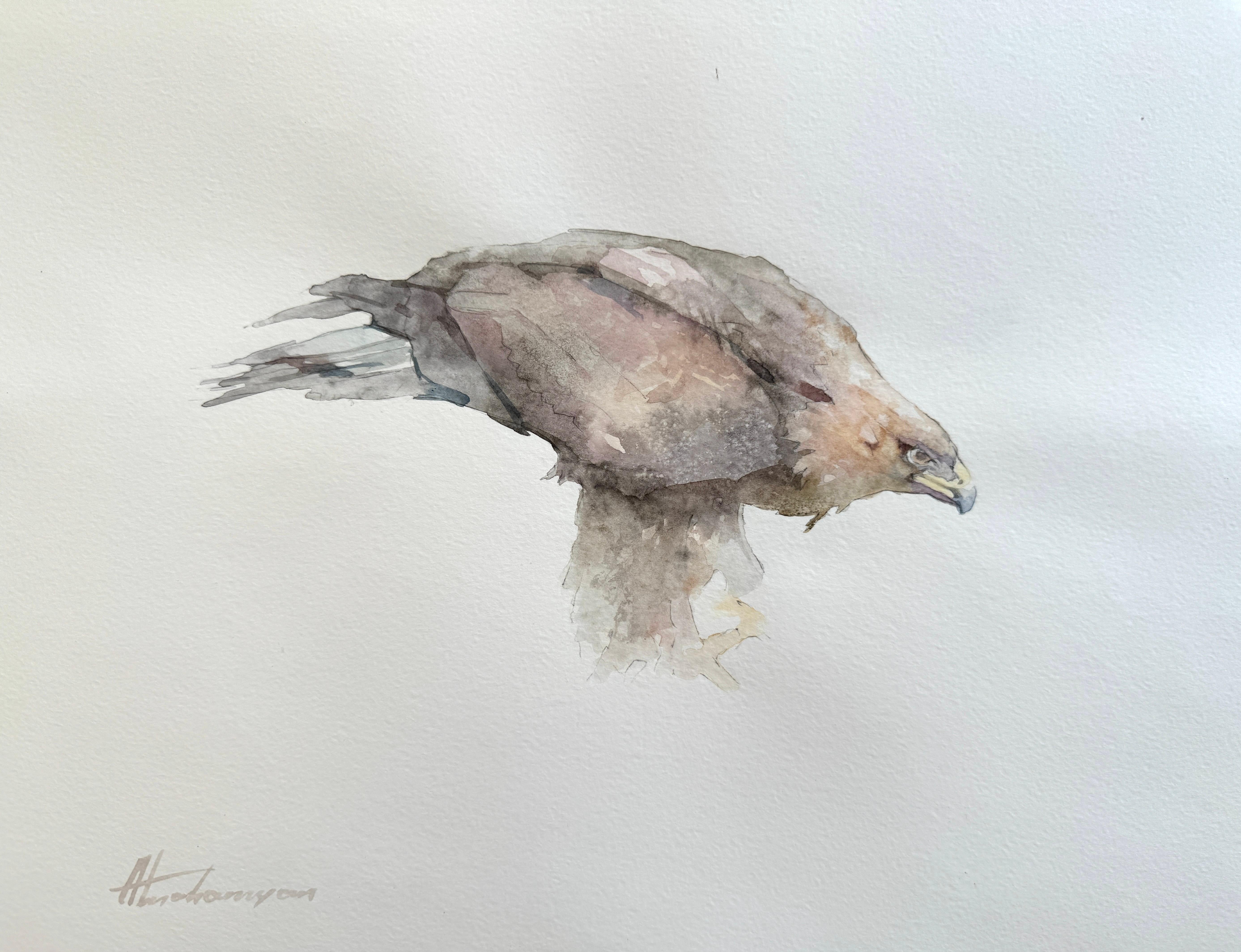 Eagle, Bird, Watercolor on Paper, Handmade Painting, One of a Kind