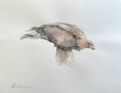 Eagle, Bird, Watercolor on Paper, Handmade Painting, One of a Kind