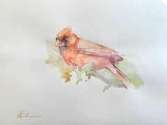 Cardinal, oiseau, aquarelle sur papier, peinture faite à la main, unique en son genre