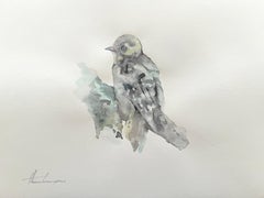 Aquarelle sur papier d'un oiseau gris, une peinture faite à la main, unique en son genre
