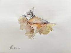Crested Titmouse Bird Watercolor on Paper Handmade Painting, One of a Kind