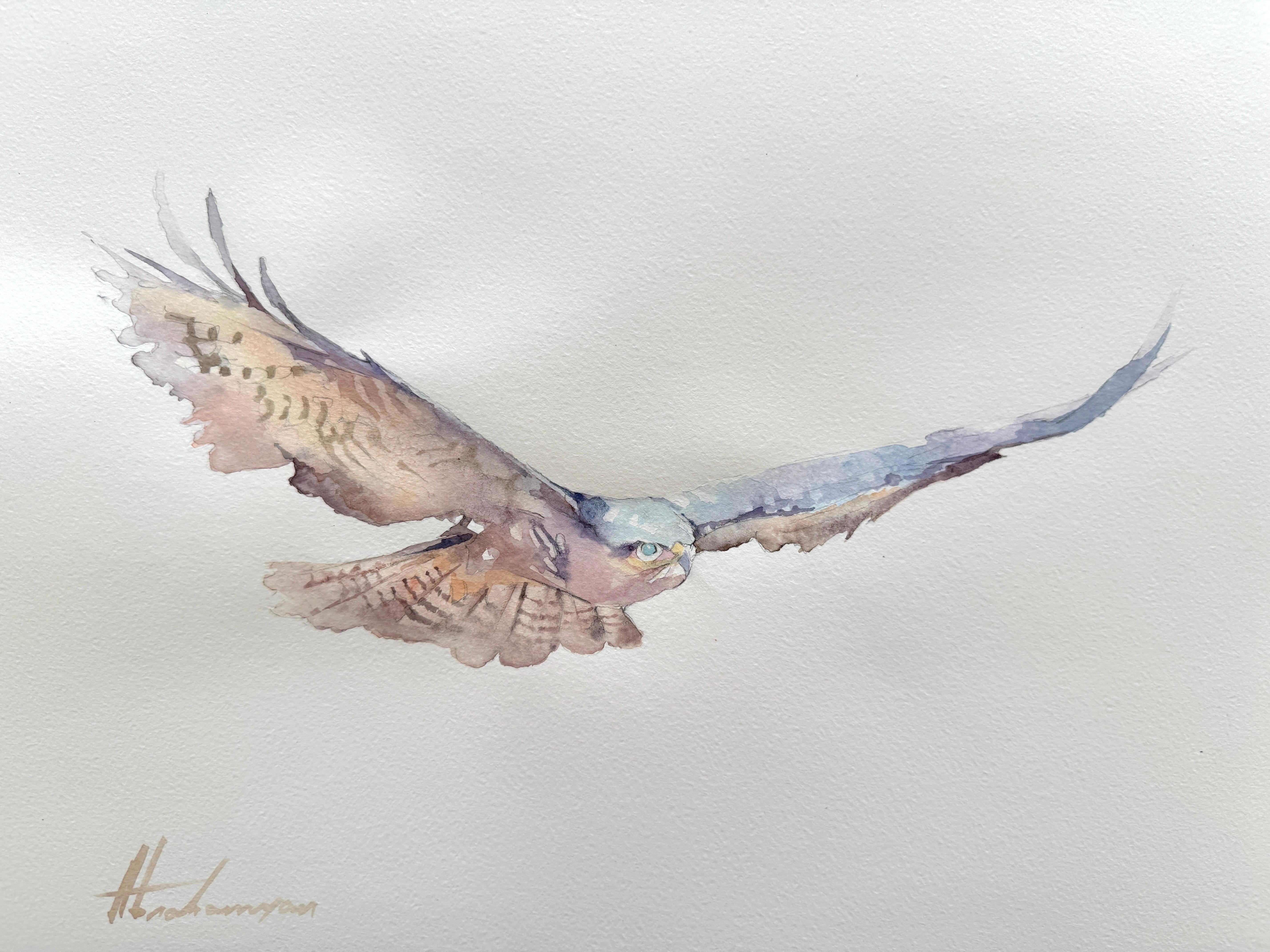 Hawk Birds Watercolor on Paper Handmade Painting, One of a Kind