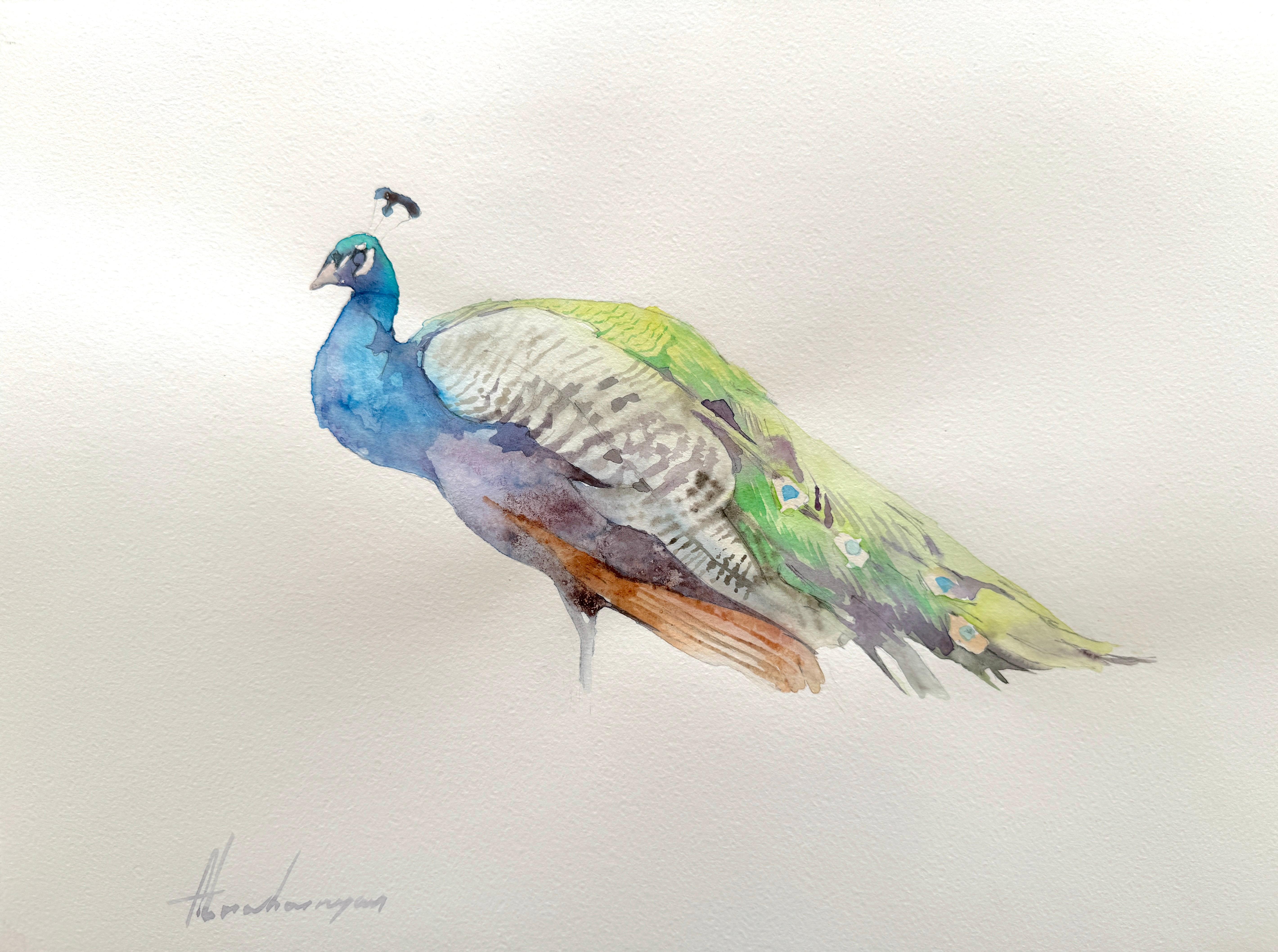 Artyom Abrahamyan Animal Art – Peacock, Aquarell auf Papier, handgefertigtes Gemälde, einzigartig