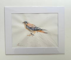 Sparrow-hawk Bird Watercolor on Paper Handmade Painting, One of a Kind