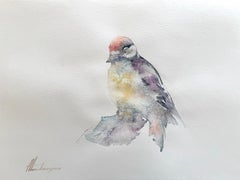 Woodpecker-Vogel-Aquarell auf Papier, handgefertigtes Gemälde, einzigartig